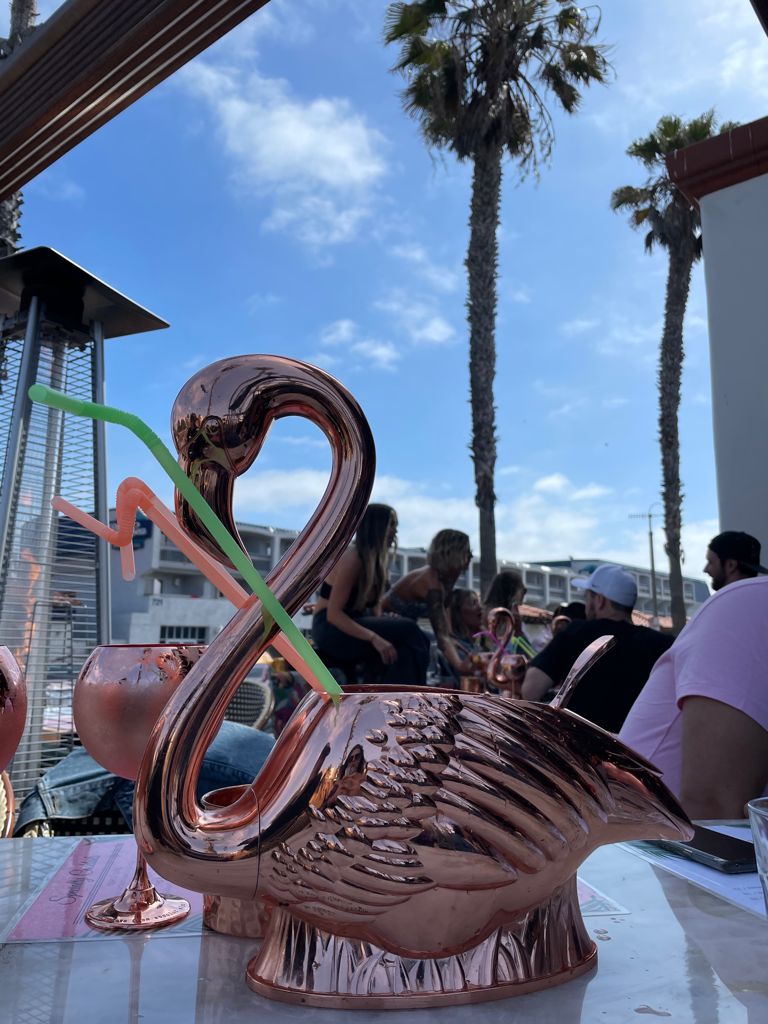 Flamingo Deck | restaurant | 4110 Mission Blvd, San Diego, CA 92109, USA | 8582634205 OR +1 858-263-4205
