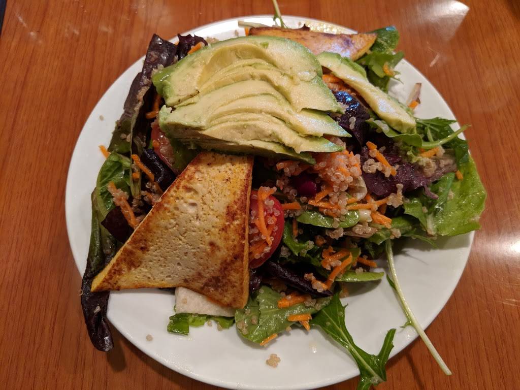 Green Leaf Vegetarian & Vegan Restaurant | restaurant | 62 Water St, Framingham, MA 01701, USA | 5083093009 OR +1 508-309-3009