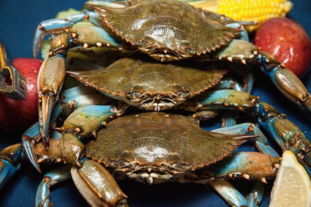 Coastal Restaurants and Bars Corporate Office | restaurant | 7 Greenwood Dr, Hilton Head Island, SC 29928, USA | 8435368600 OR +1 843-536-8600