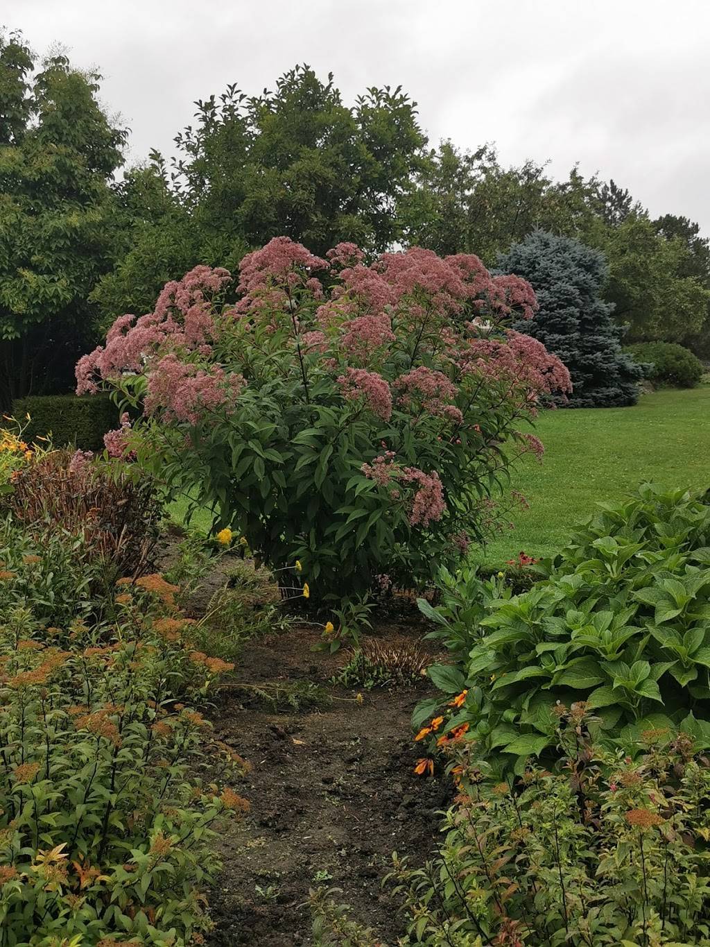 Red Chillie | restaurant | 1131 Nottinghill Gate, Oakville, ON L6M 2G3, Canada | 9058271779 OR +1 905-827-1779