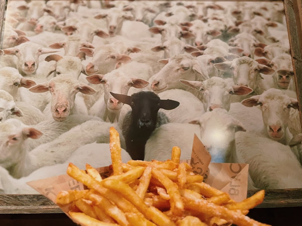 Blacksheep burgers n shakes ASAP | restaurant | 3325 S Glenstone Ave, Springfield, MO 65804, USA | 4175128995 OR +1 417-512-8995