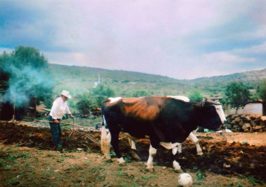 Ah Caray | restaurant | 14326 Telegraph Rd, Whittier, CA 90604, USA | 5627583272 OR +1 562-758-3272