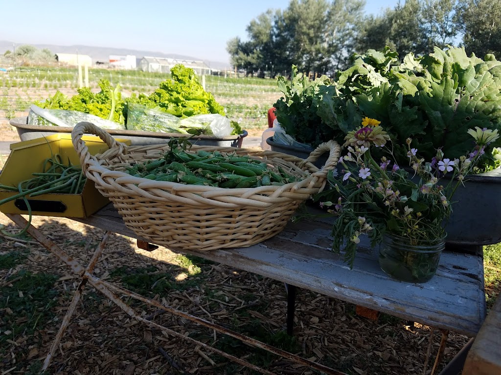 Sweet Pea Farm And Orchard | restaurant | 136 S 600 W, Parowan, UT 84761, USA | 4355316461 OR +1 435-531-6461