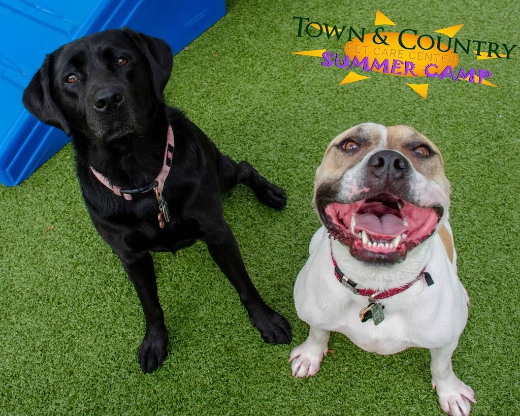 Town and Country Pet Care Center | restaurant | 393 Langhorne Ave, Langhorne, PA 19053, USA | 2157523661 OR +1 215-752-3661