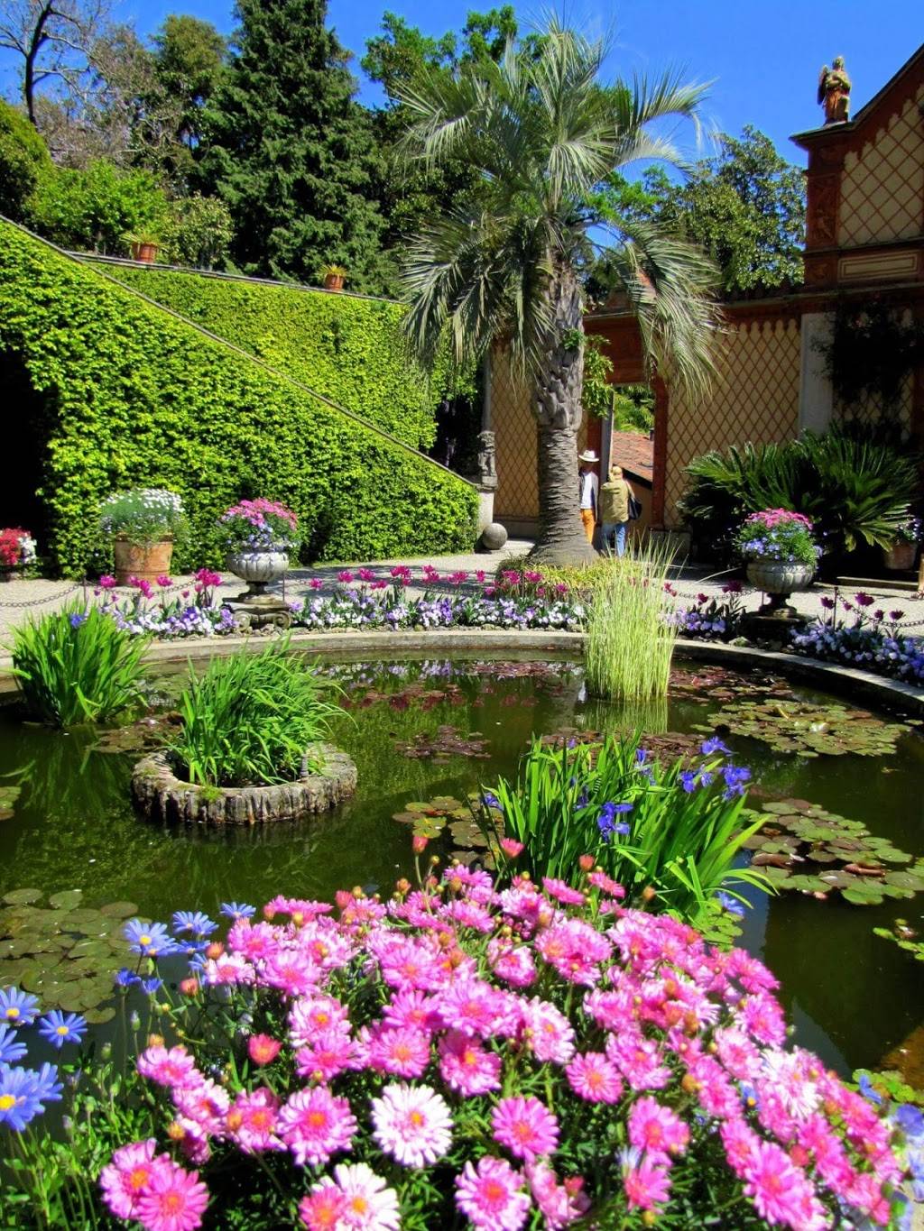 McDonalds | cafe | 106 W University Blvd E, Silver Spring, MD 20901, USA | 3016810772 OR +1 301-681-0772