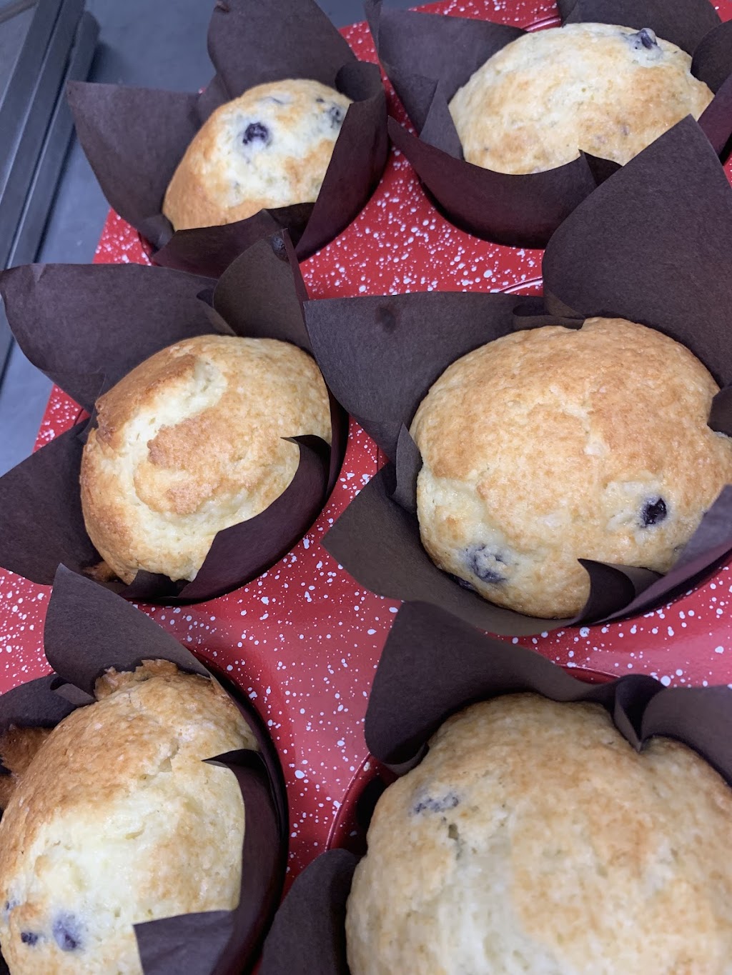 Open Road Cafe | restaurant | 1637 US-1, Ormond Beach, FL 32174, USA | 3866717107 OR +1 386-671-7107