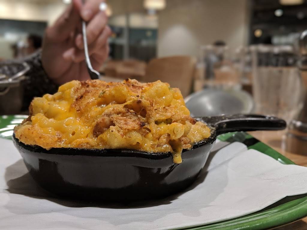 Choice Greens | restaurant | 2829 E Speedway Blvd, Tucson, AZ 85716, USA | 5203192467 OR +1 520-319-2467