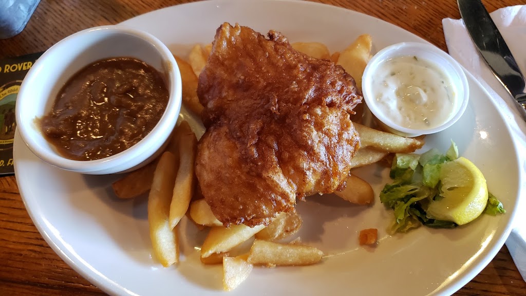 Wild Rover Brewing Company | restaurant | 13921 Lynmar Blvd, Tampa, FL 33626, USA | 8134755995 OR +1 813-475-5995