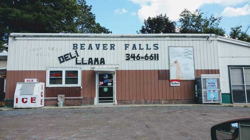 Deli Llama Soup er Shop | restaurant | 9723 NY-126, Castorland, NY 13620, USA | 3153466611 OR +1 315-346-6611