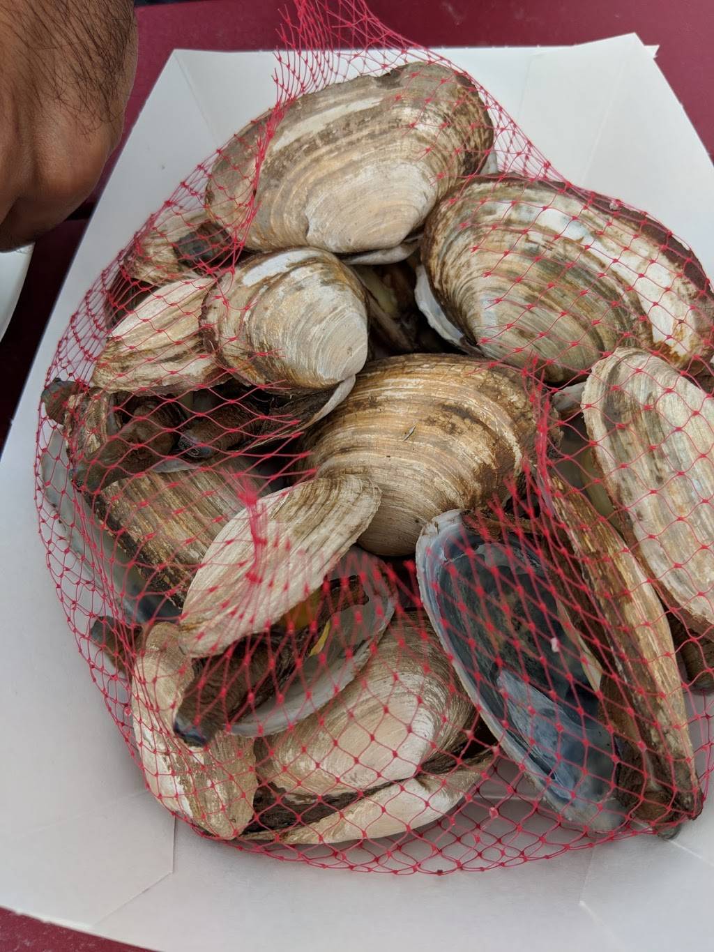 Cape Pier Chowder House | restaurant | 79 Pier Rd, Kennebunkport, ME 04046, USA | 2079670123 OR +1 207-967-0123