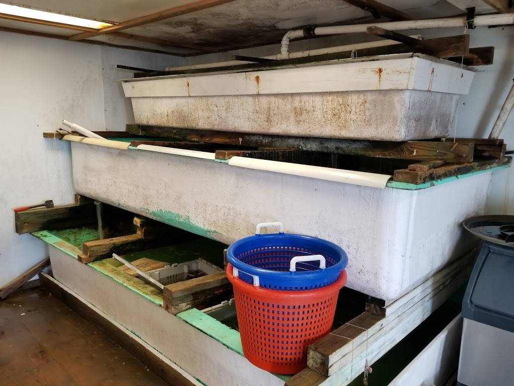 Guilford Lobster Pound | restaurant | 3443, 505 Old Whitfield St, Guilford, CT 06437, USA | 2034536122 OR +1 203-453-6122