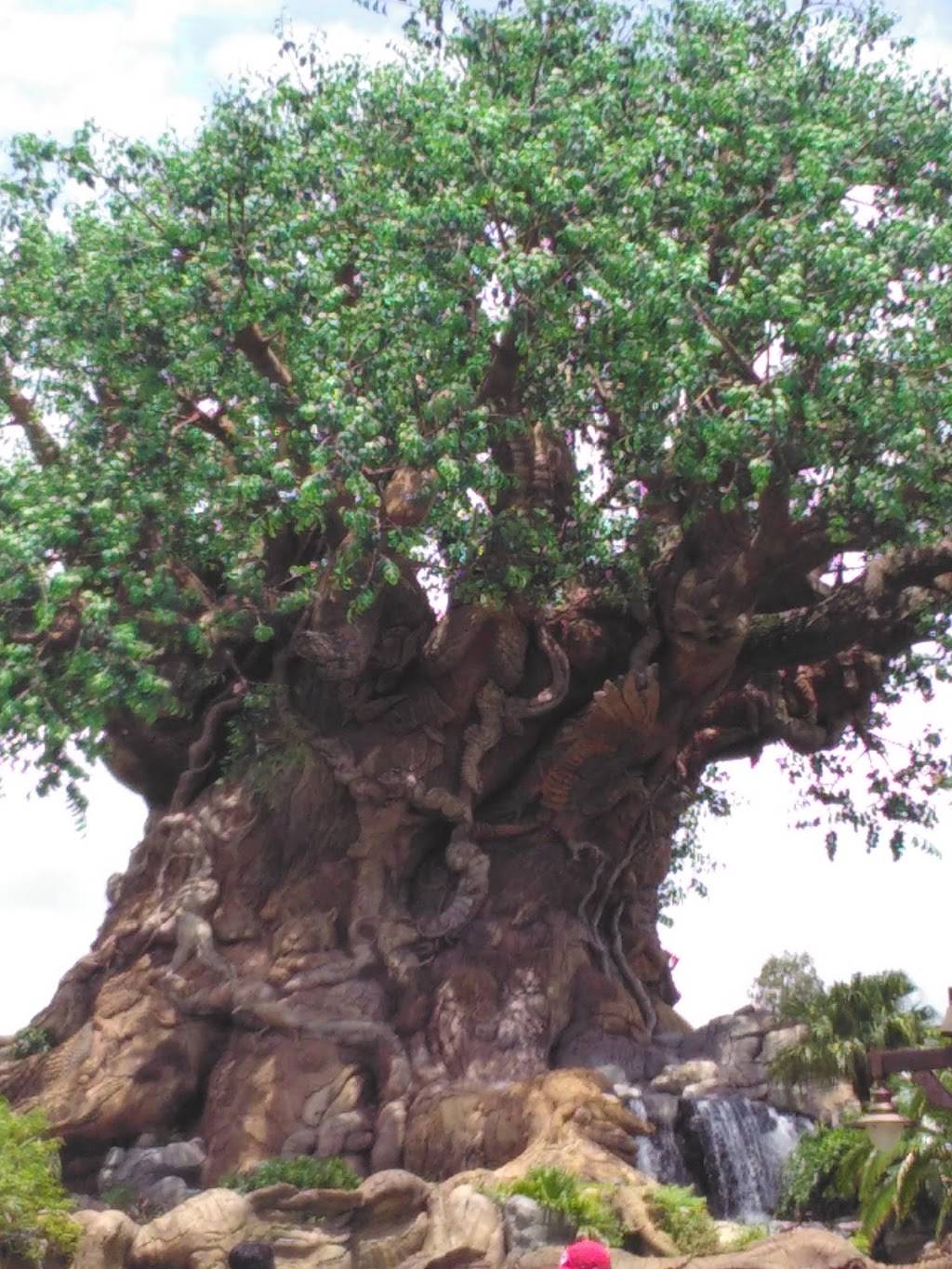 Around the World Gourmet | restaurant | 7016 Nocturne Rd N, Reynoldsburg, OH 43068, USA | 7403109012 OR +1 740-310-9012