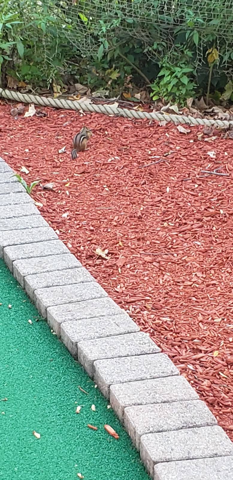 Fenway Golf | meal takeaway | 112 Allen St, East Longmeadow, MA 01028, USA | 4135254444 OR +1 413-525-4444