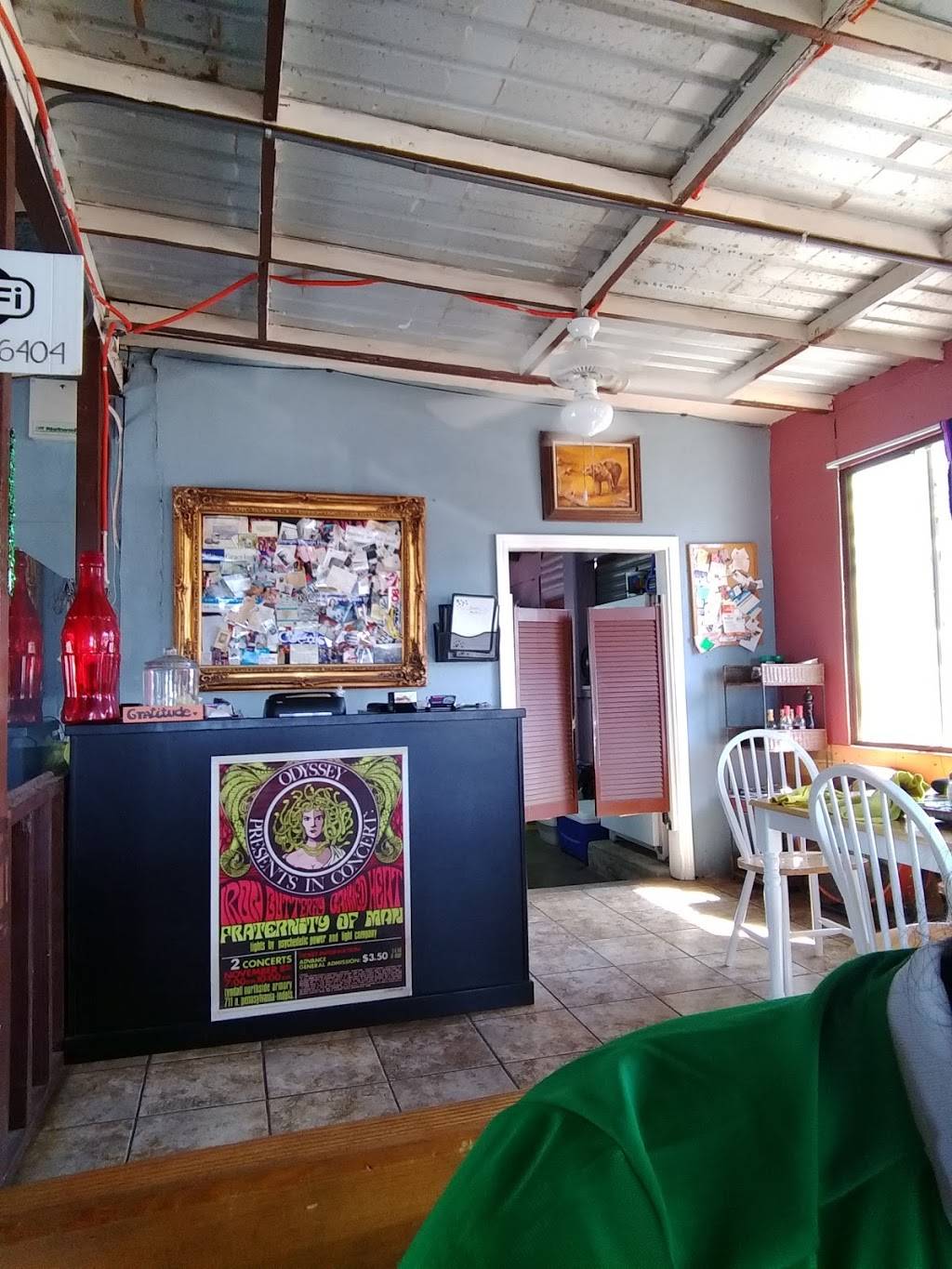 Mama Bears Pizza | restaurant | km 11.5 Carr. La Bufadora, Punta Banda, 22794 Ensenada, B.C., Mexico | 016461542367 OR +52 646 154 2367