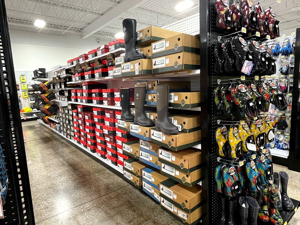 The Homestead | restaurant | 116 MN-28, Morris, MN 56267, USA | 3205851720 OR +1 320-585-1720