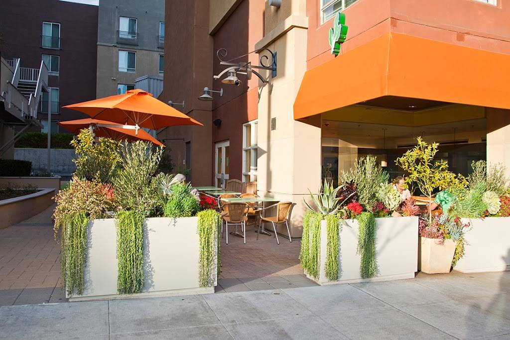 Tender Greens | restaurant | 621 E Colorado Blvd, Pasadena, CA 91101, USA | 6264051511 OR +1 626-405-1511