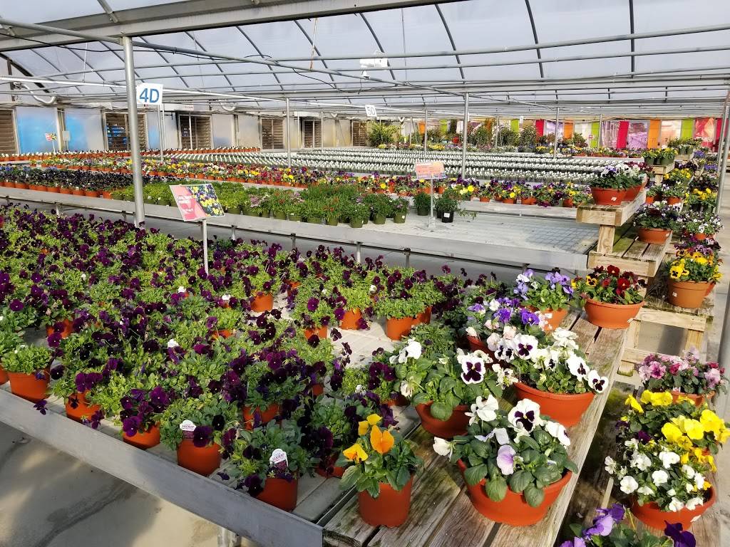 Andersons Newport News | cafe | 11250 Jefferson Ave, Newport News, VA 23601, USA | 7575993510 OR +1 757-599-3510