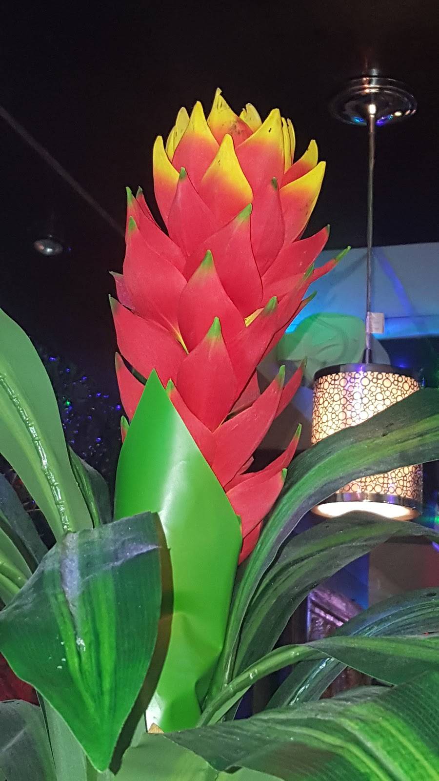 Mi Tierra Mayas | restaurant | 7920 Chesapeake Blvd, Norfolk, VA 23518, USA | 7575798089 OR +1 757-579-8089