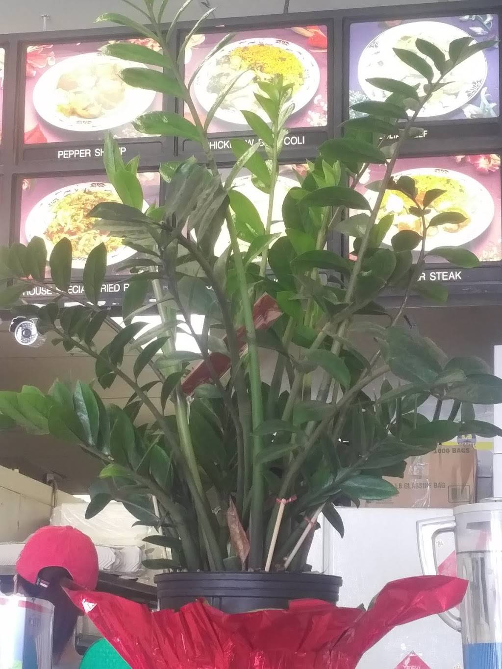 Chens Garden | restaurant | 7525 Tidewater Dr, Norfolk, VA 23505, USA | 7575888181 OR +1 757-588-8181