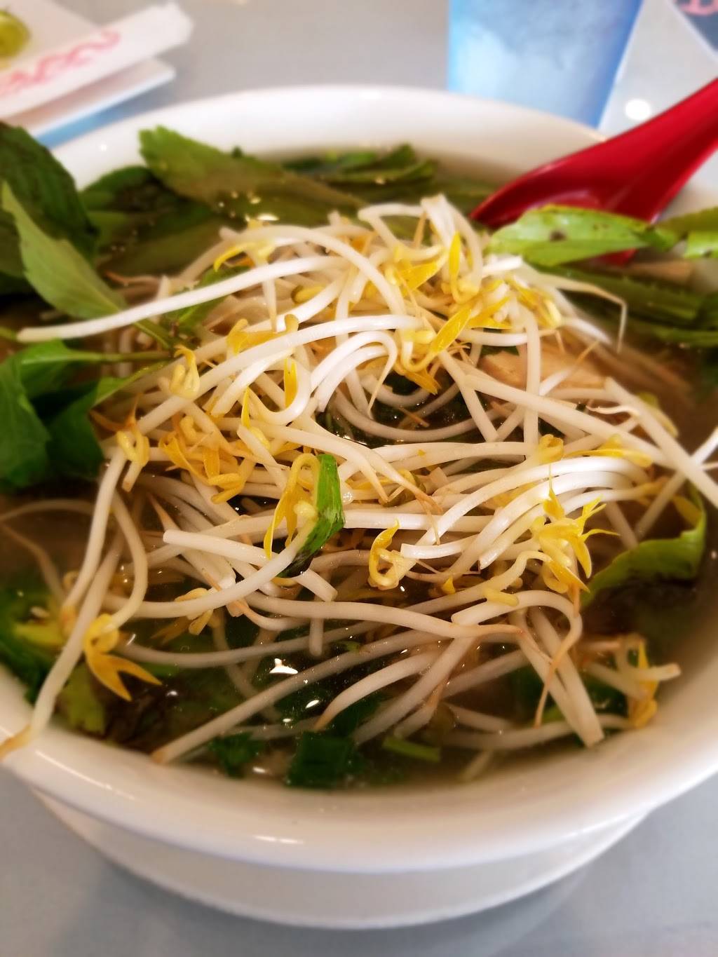Pho 99 | restaurant | 9117 Executive Park Dr, Knoxville, TN 37923, USA | 8653572099 OR +1 865-357-2099