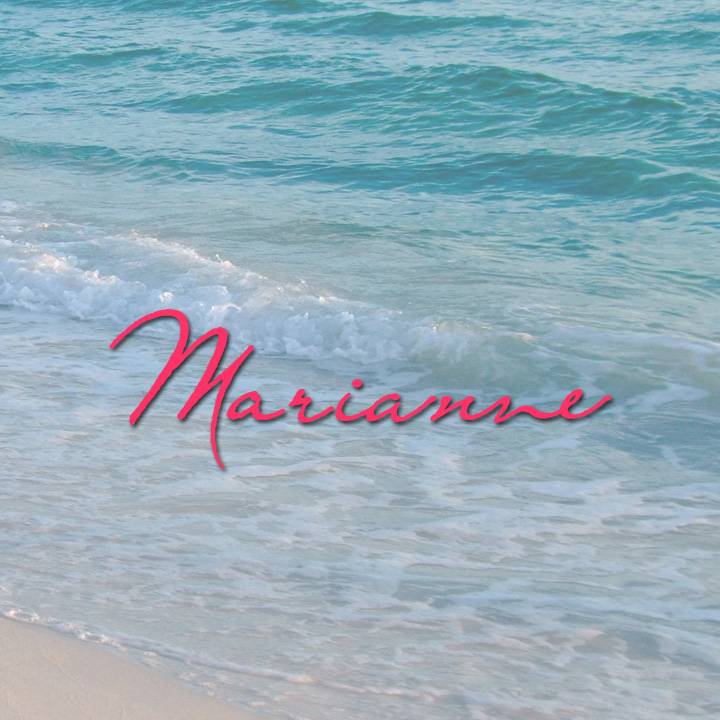 Marianne Gourmet | meal takeaway | 803 George Bush Blvd, Delray Beach, FL 33483, USA | 5612783349 OR +1 561-278-3349