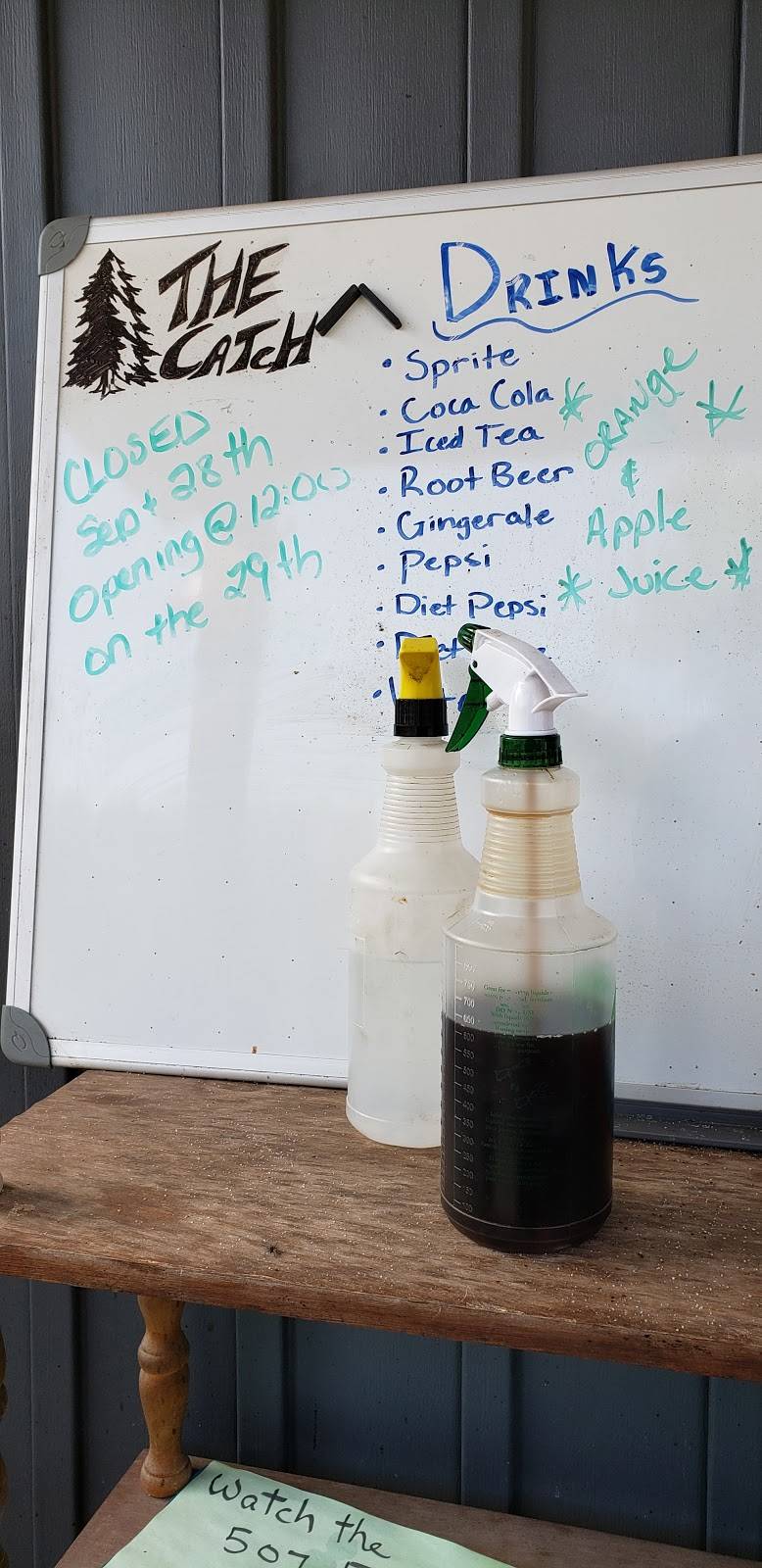 The Catch | restaurant | 3764 County 507 Rd, Gooderham, ON K0M 1R0, Canada | 7053139947 OR +1 705-313-9947