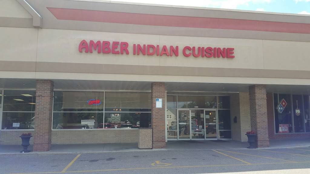 Amber Indian Cuisine | restaurant | 6913 University Ave, Middleton, WI 53562, USA | 6088240324 OR +1 608-824-0324