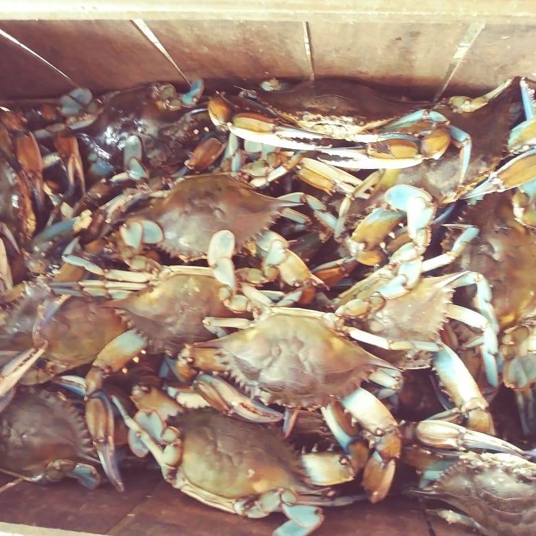 Cypress Point Store ???? | restaurant | 904 St Johns Ave, Palatka, FL 32177, USA | 3863263842 OR +1 386-326-3842