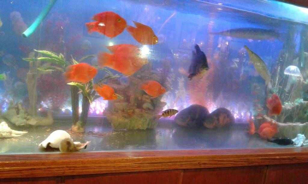 New Bo Bo Chinese Restaurant | restaurant | 910 Brookway Blvd, Brookhaven, MS 39601, USA | 6018353355 OR +1 601-835-3355