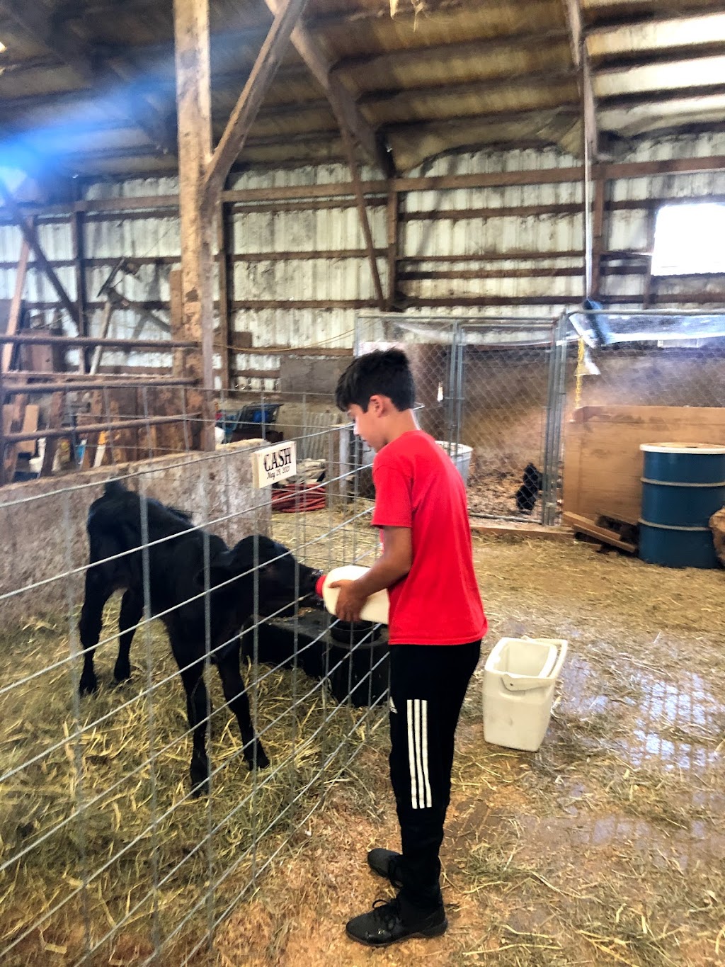 Oostema Wagyu Beef | restaurant | 8402 Northwood Rd, Lynden, WA 98264, USA | 3608151494 OR +1 360-815-1494