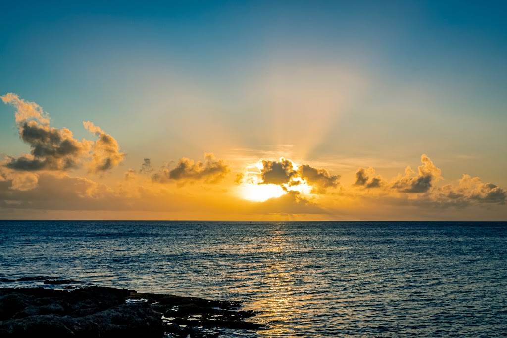 Paradise Cove Luau | restaurant | 92-1089 Aliinui Dr, Kapolei, HI 96707, USA | 8088425911 OR +1 808-842-5911