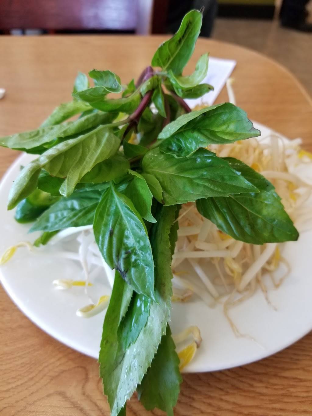 Pho Dai Loi #3 | restaurant | 1500 Pleasant Hill Rd, Lawrenceville, GA 30044, USA | 7703811415 OR +1 770-381-1415