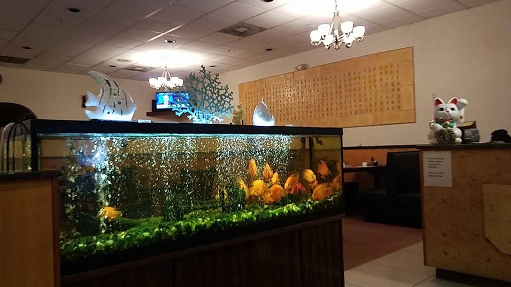 China Island Restaurant | restaurant | 13618 FL-84, Davie, FL 33325, USA | 9544241689 OR +1 954-424-1689