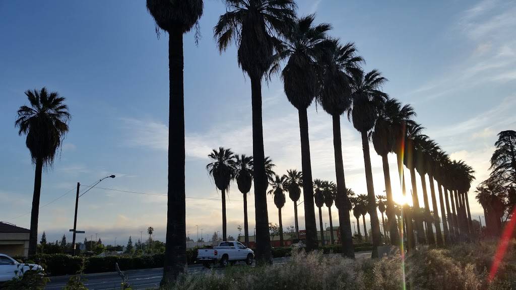 Robertitos Taco Shop | restaurant | 7184 N Abby St, Fresno, CA 93720, USA | 5594387746 OR +1 559-438-7746