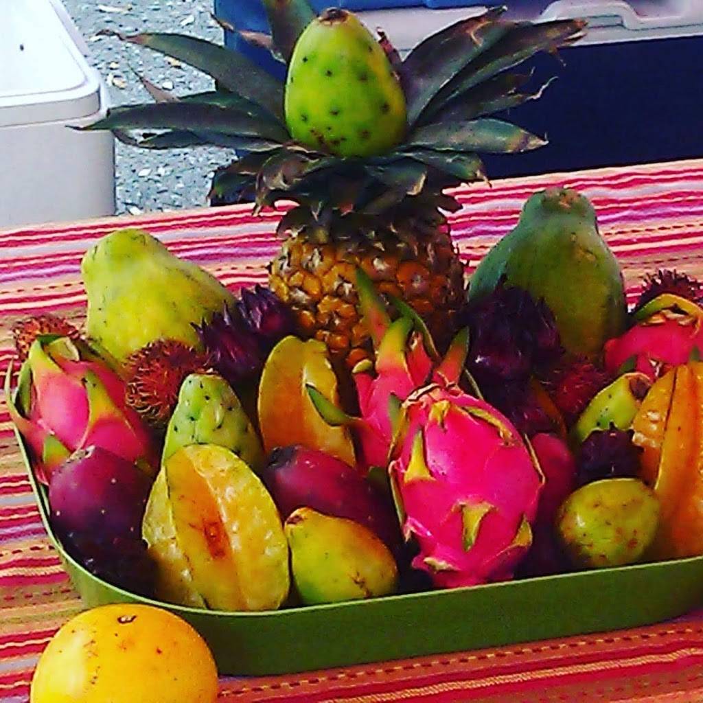 Hot Wok | restaurant | 2151 Loch Rane Blvd, Orange Park, FL 32073, USA | 9042988080 OR +1 904-298-8080