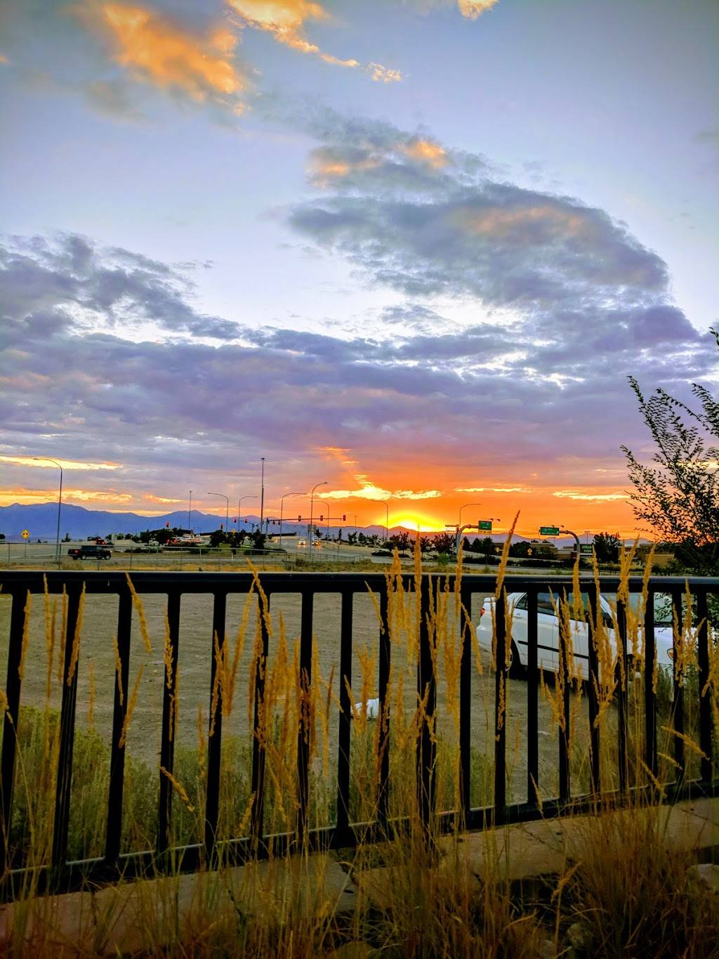 In-N-Out Burger | restaurant | 601 W Main St, American Fork, UT 84003, USA | 8007861000 OR +1 800-786-1000