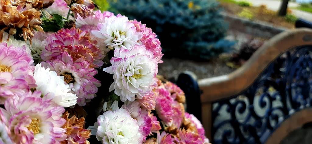 Italian Cortina Club Inc. | restaurant | 22 Kevco Pl, Kitchener, ON N2C 2G5, Canada | 5198943852 OR +1 519-894-3852