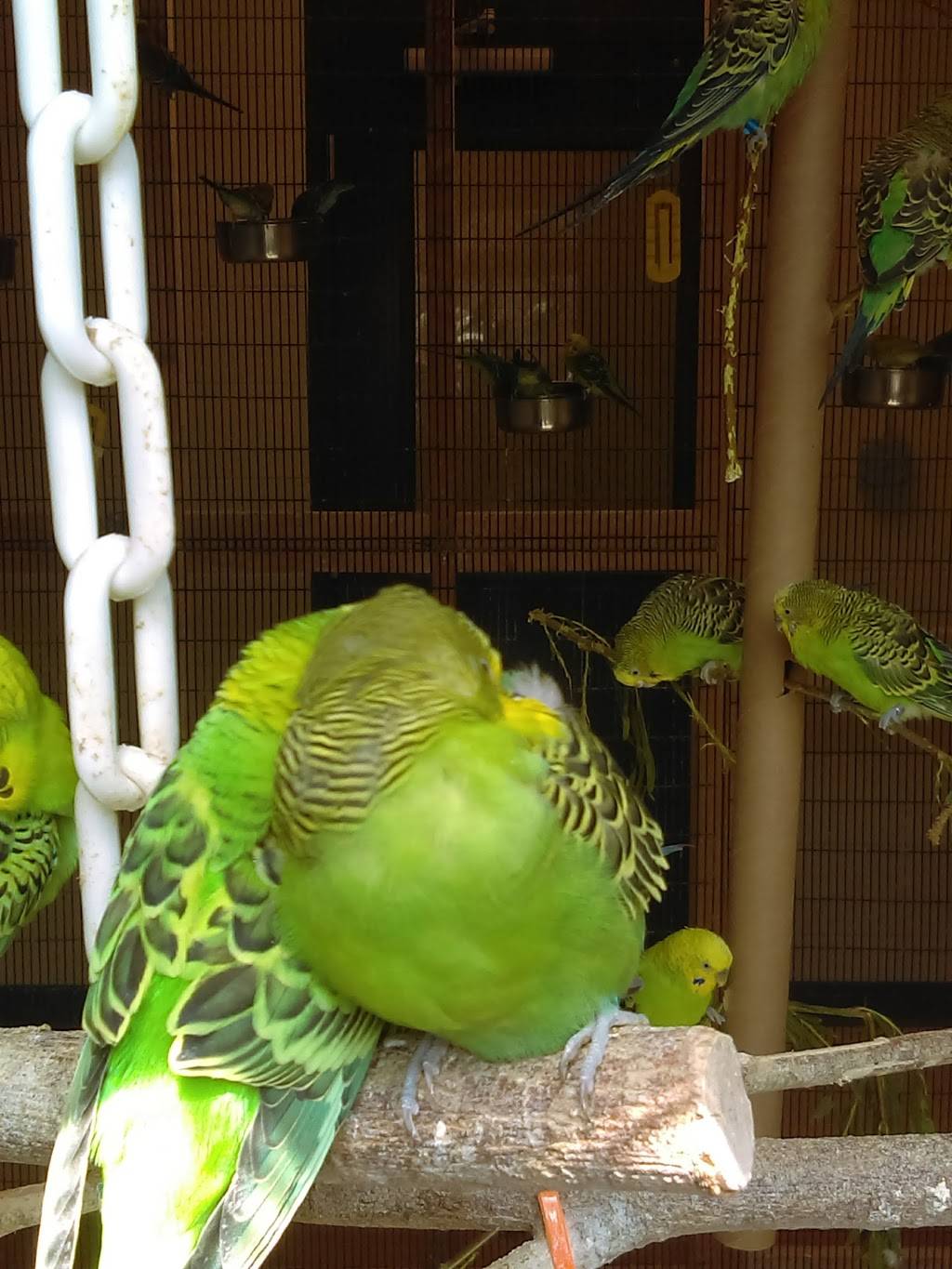 Terrace Grill | meal takeaway | Chandlersville, OH 43727, USA | 7406385030 OR +1 740-638-5030