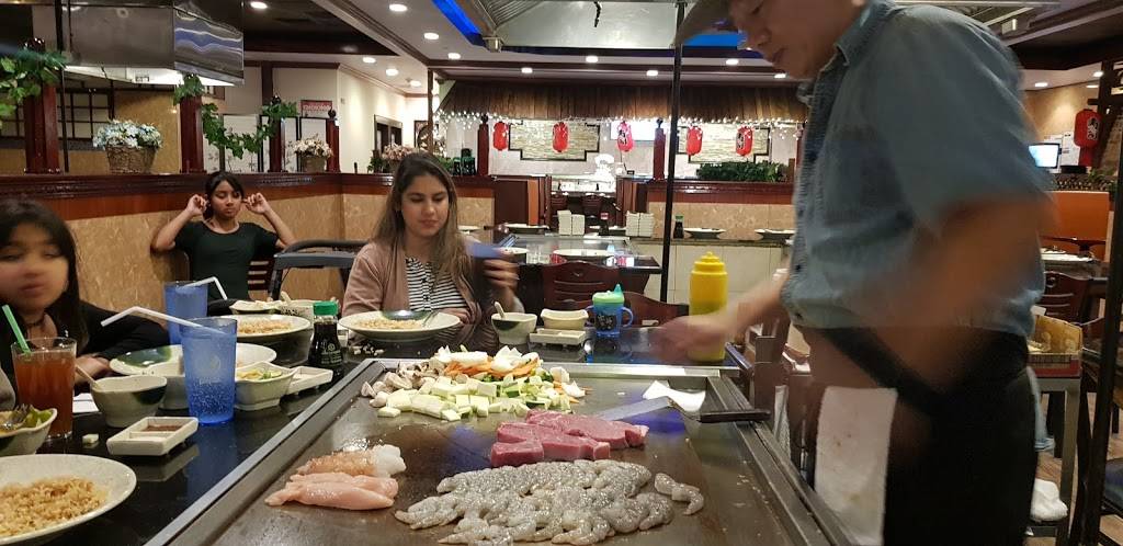 Fuji Grill | restaurant | 7516 Transit Rd #6018, Buffalo, NY 14221, USA | 7166263388 OR +1 716-626-3388