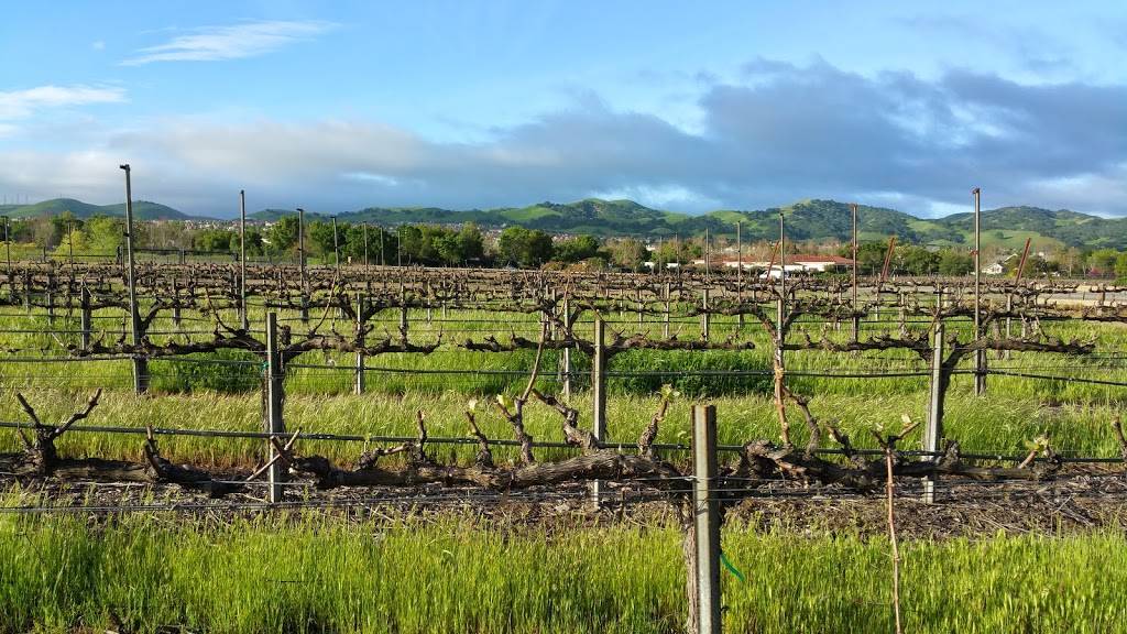 Starbucks | cafe | 101 E Vineyard Ave #135, Livermore, CA 94550, USA | 9258460259 OR +1 925-846-0259