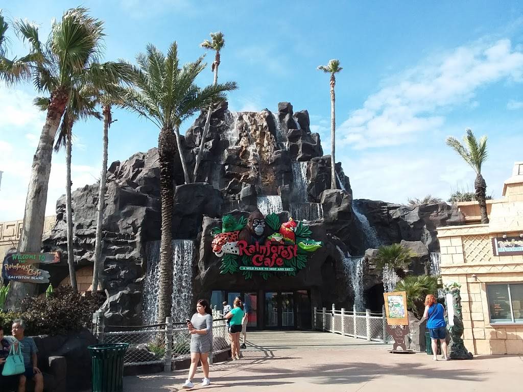 Rainforest Cafe | restaurant | 5310 Seawall Blvd, Galveston, TX 77551, USA | 4097446000 OR +1 409-744-6000