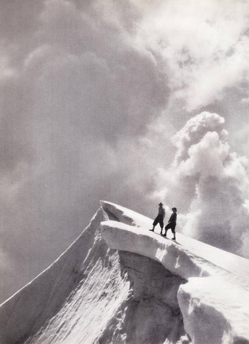 Brenner Pass | restaurant | 3200 Rockbridge St #100, Richmond, VA 23230, USA | 8046589868 OR +1 804-658-9868