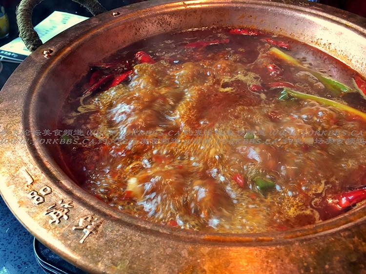 Champions Seafood Grill & Bar | restaurant | 8333 Kennedy Rd Unit 1071, Unionville, ON L3R 1J5, Canada | 9056048065 OR +1 905-604-8065