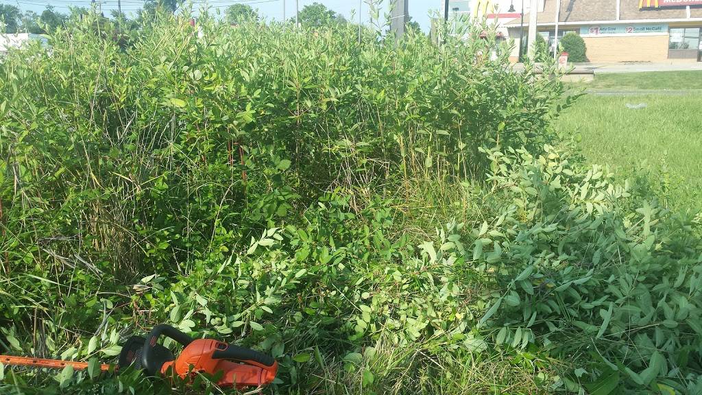 Subway Restaurants | restaurant | 6322 Kenwood Ave, Baltimore, MD 21237, USA | 4438680999 OR +1 443-868-0999