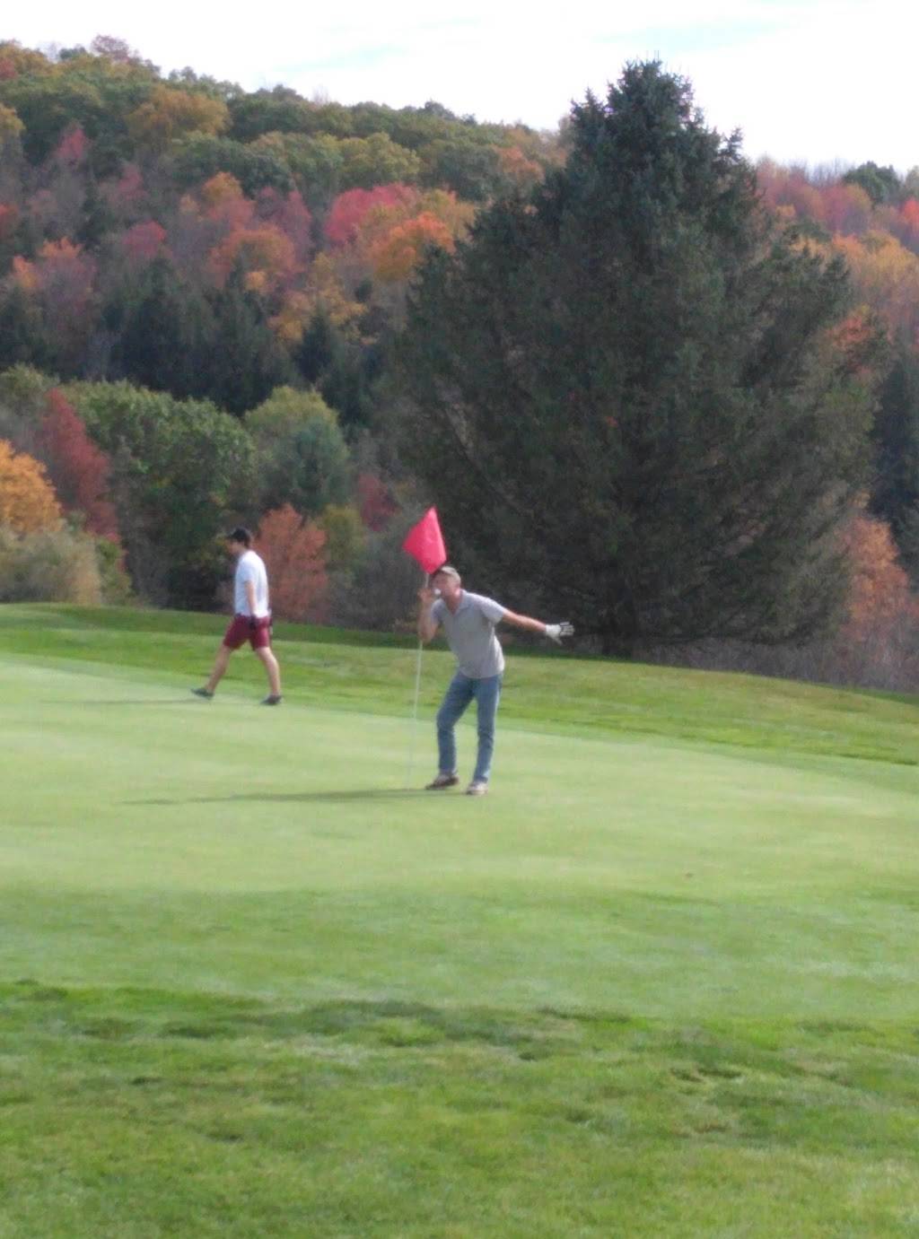 Endwell Greens Golf Course and Event Center | restaurant | 3675 Sally Piper Rd, Endwell, NY 13760, USA | 6077854653 OR +1 607-785-4653