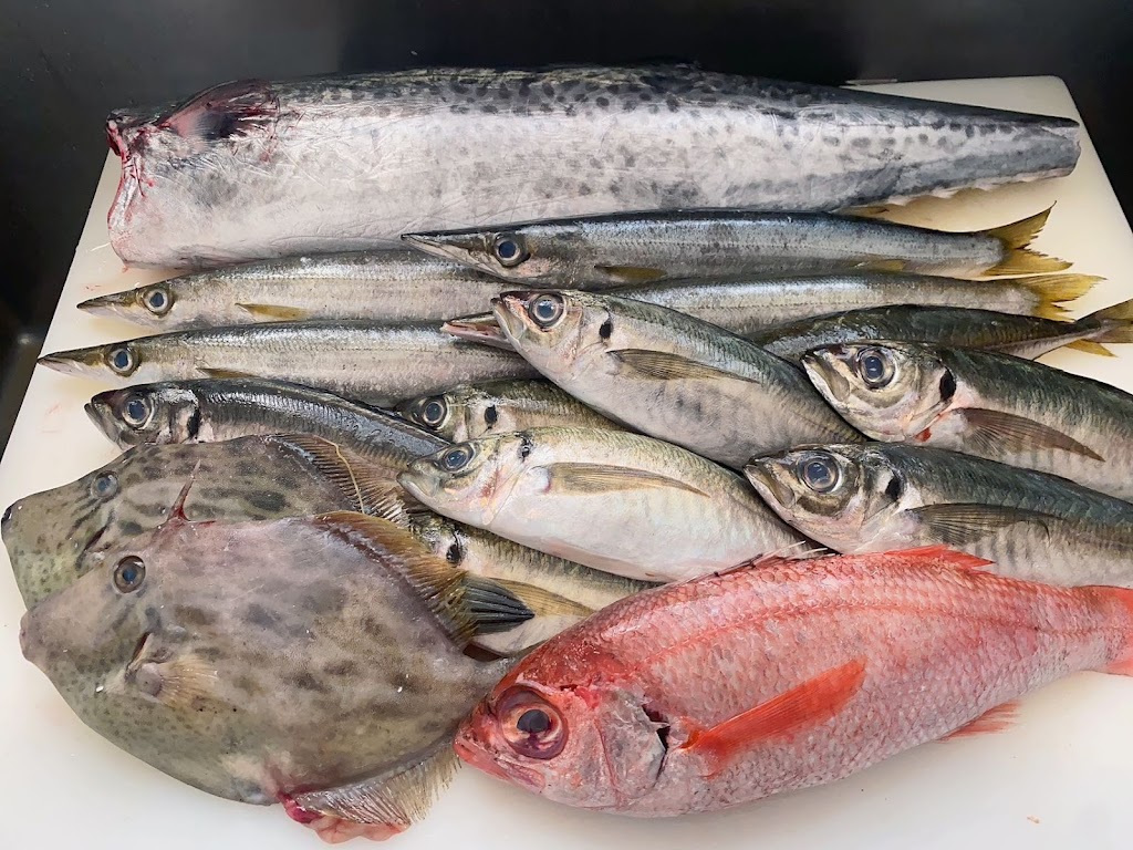 Shoshin Sushi | restaurant | 2450 Clement St, San Francisco, CA 94121, USA | 4153868008 OR +1 415-386-8008