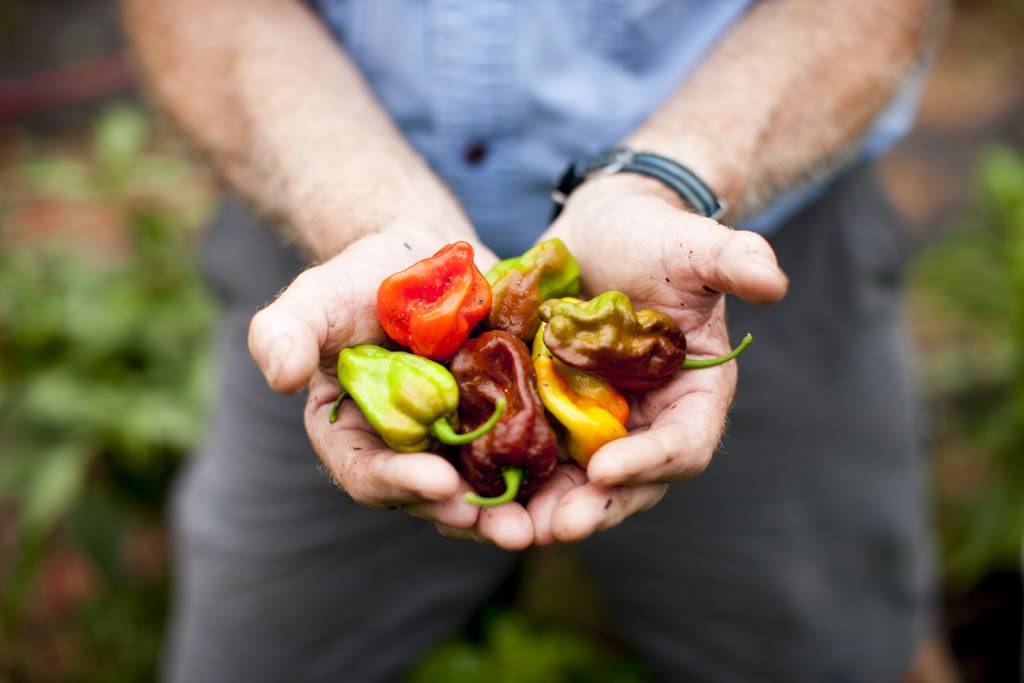 Blue Moon Specialty Foods | restaurant | 130 S Church St, Spartanburg, SC 29306, USA | 8645862344 OR +1 864-586-2344