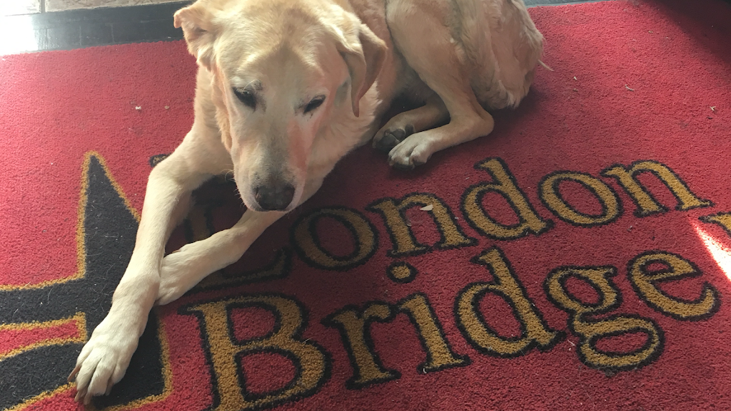 The London Bridge Pub | night club | 110 E Hargett St, Raleigh, NC 27601, USA | 9198386633 OR +1 919-838-6633