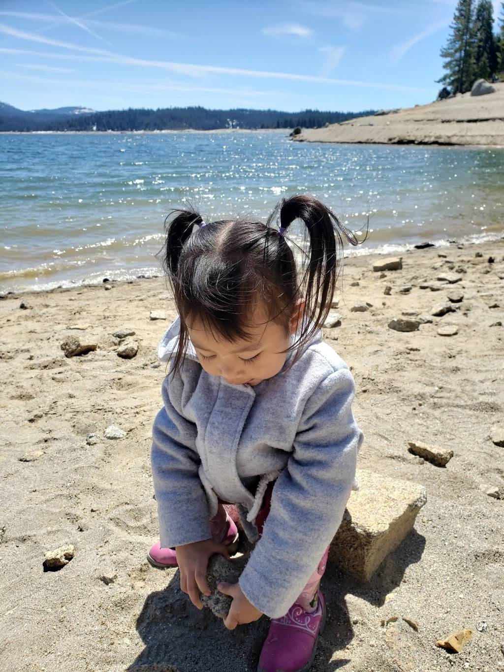 Shaver Lake Lodge Restaurant | restaurant | 44185 CA-168, Shaver Lake, CA 93664, USA | 5598413326 OR +1 559-841-3326