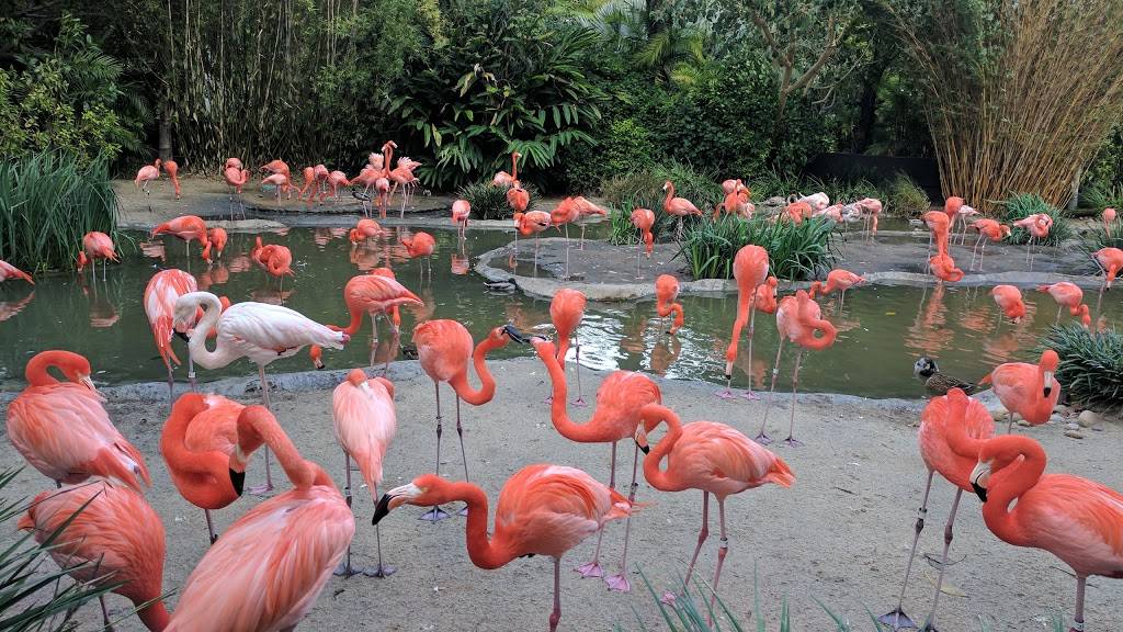 Alberts Restaurant | restaurant | 2920 Zoo Dr, San Diego, CA 92101, USA | 6196853200 OR +1 619-685-3200